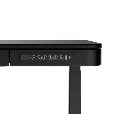 refurbished | FlexiSpot Liftek electric height adjustable desk 120x60 + Hag Capisco 8106 Leather, cognac/black