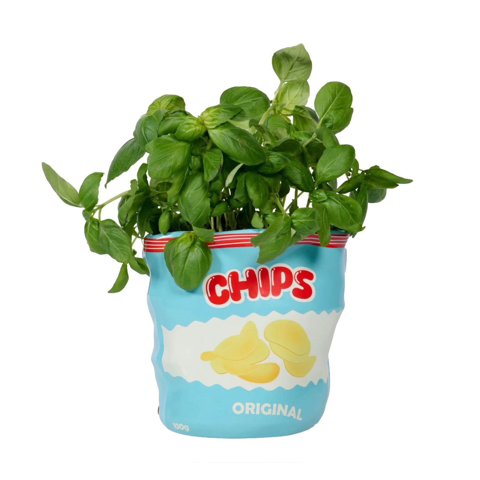 Bitten Chips ceramic planter