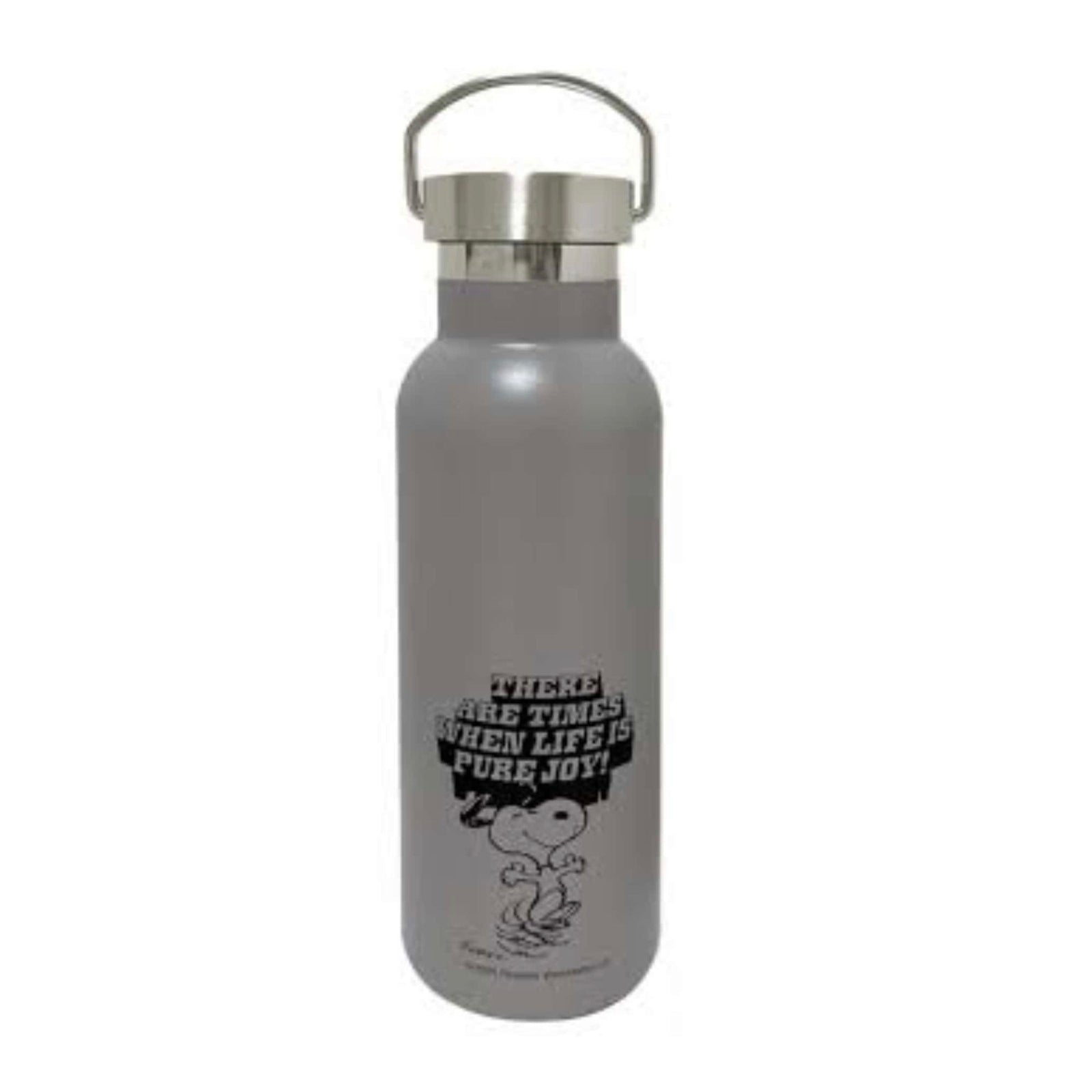 Snoopy 75th anniversay thermo bottle 500ml, grey
