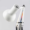 Anglepoise + Paul Smith Type 75™ Mini desk lamp, edition six