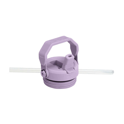 Stanley The IceFlow™ AeroLight flip straw lid bottle 24oz, grape
