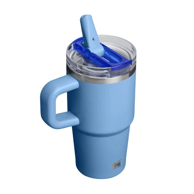 Stanley Quencher Protour flip straw lid tumbler 20oz, blue sky