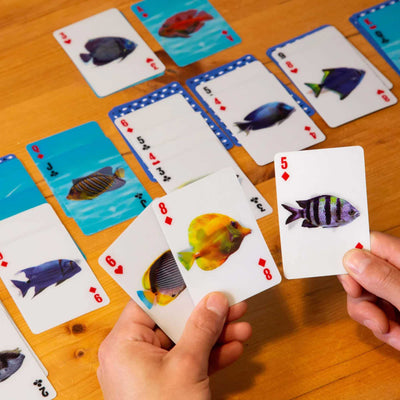 Kikkerland 3-D Fish Cards