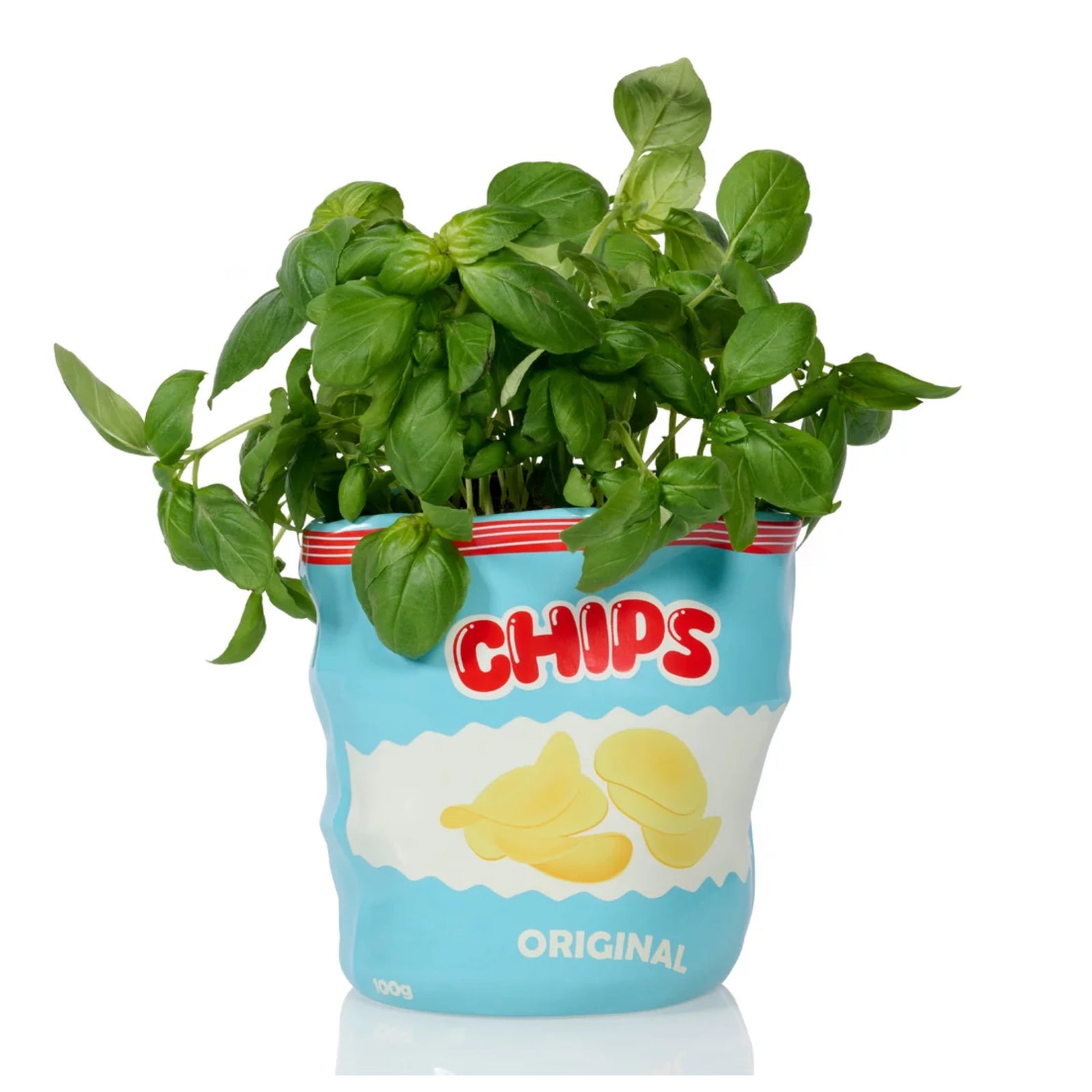 Bitten Chips ceramic planter