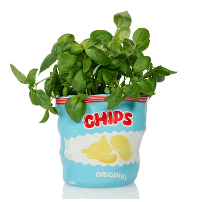 Bitten Chips ceramic planter
