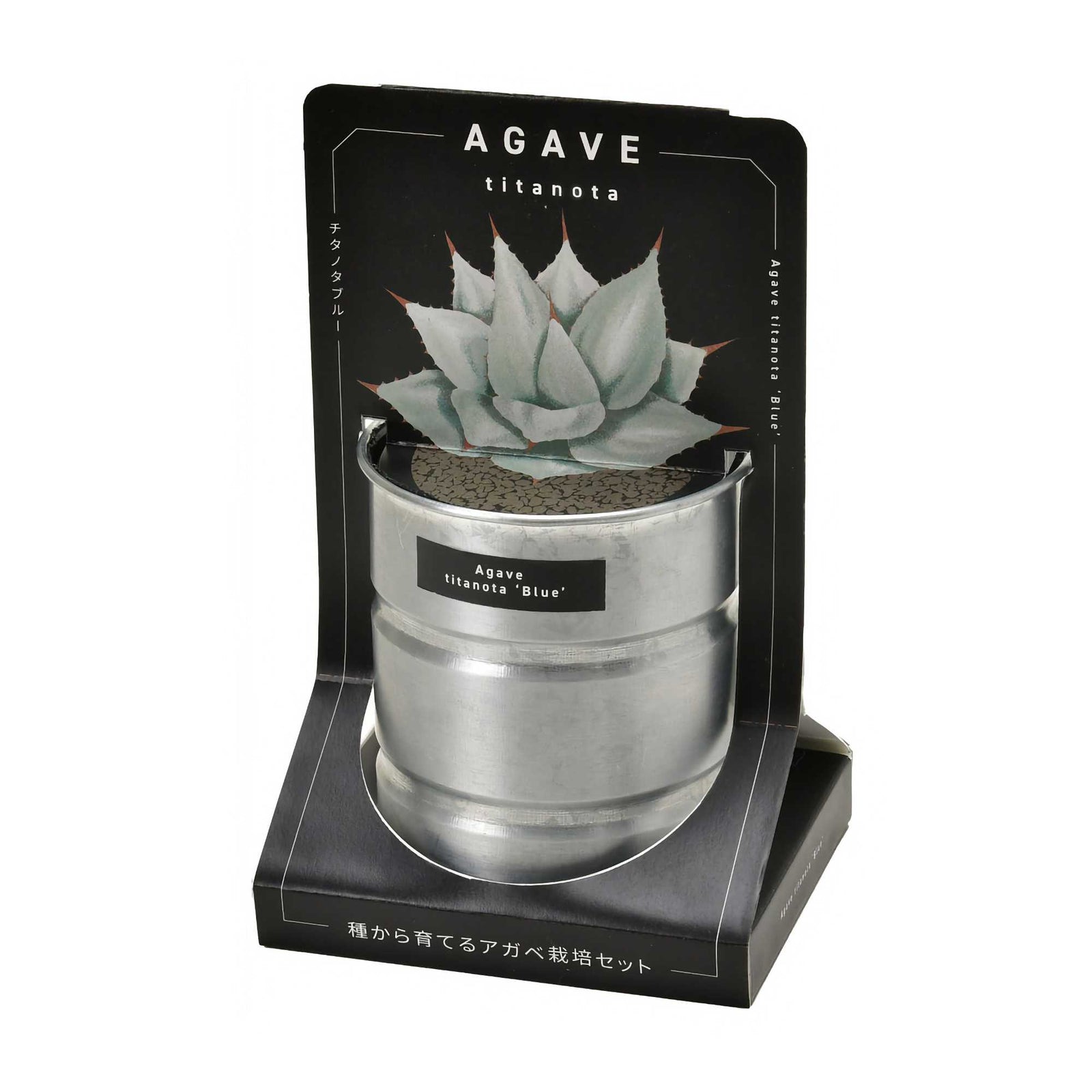 Agave cultivation set, titanota Blue