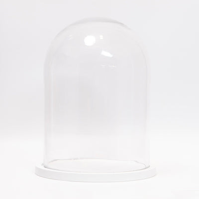 refurbished | Dome display bell jar