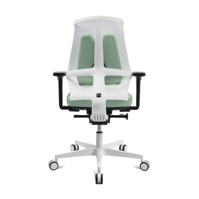 Sitness X Back Pro, green/white
