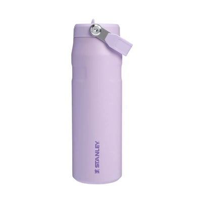 Stanley The IceFlow™ AeroLight flip straw lid bottle 24oz, grape