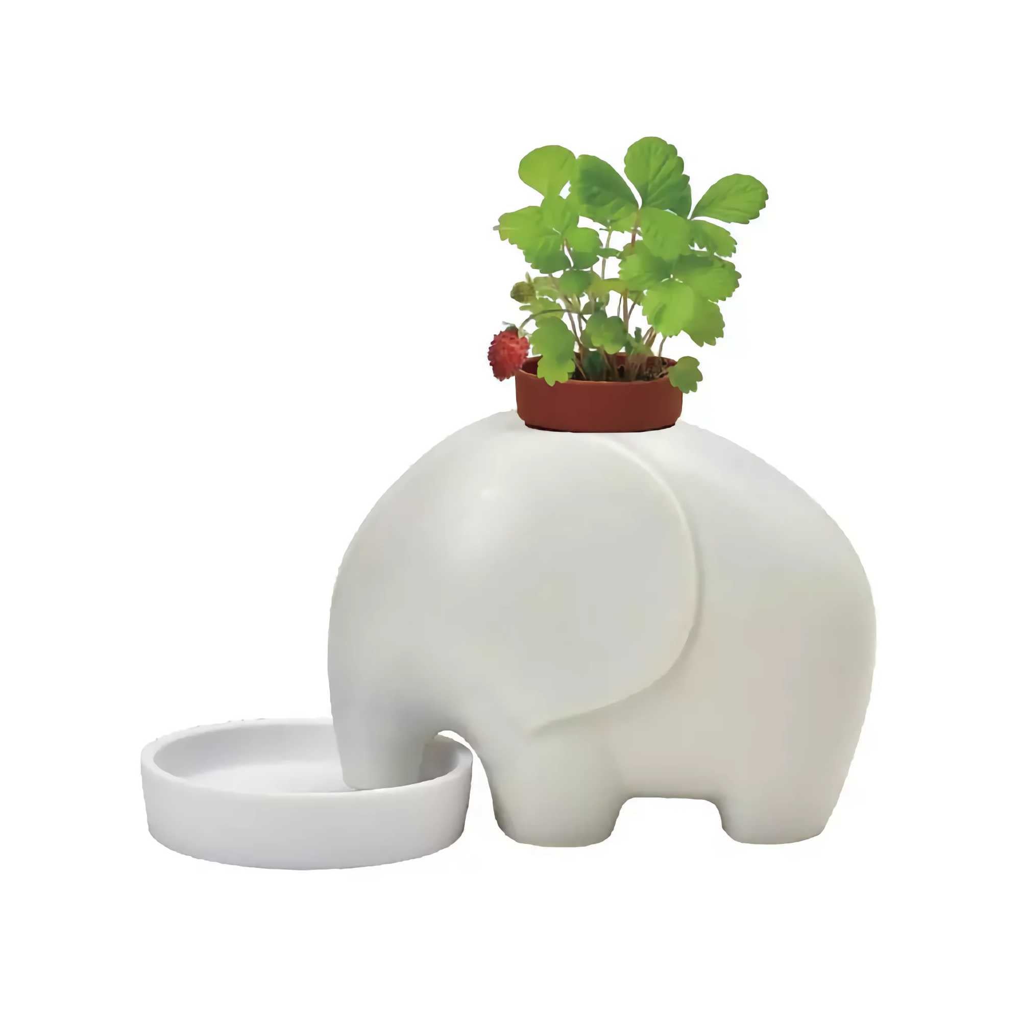 Seishin Ceramic Elephant Potted Plant, Wild Strawberry