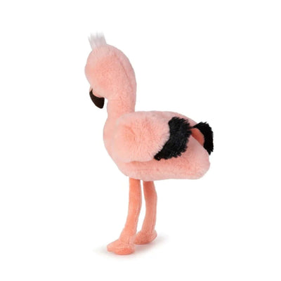 IBTT WWF Filipa Flamingo