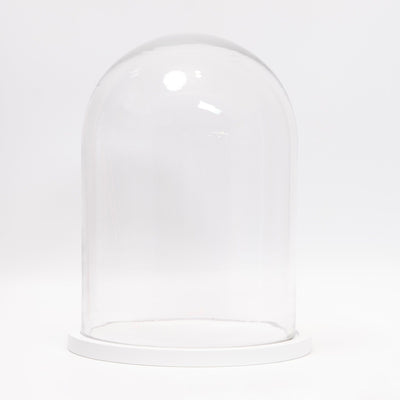 refurbished | Dome display bell jar