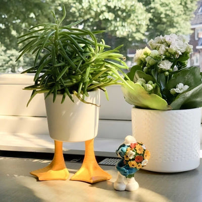 Bitten Design Duck Feet flower pot small