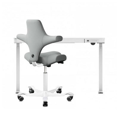 refurbished | FlexiSpot Liftek electric height adjustable desk 120x60 + Hag Capisco 8106 Fabric, light grey/white