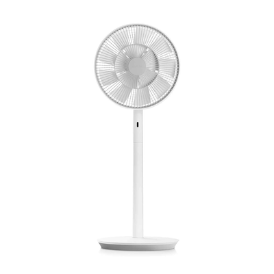 Balmuda GreenFan