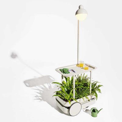 Fatboy Jolly trolley