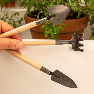Kikkerland Mini garden tool set