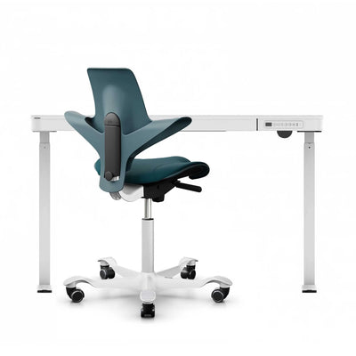 FlexiSpot Liftek electric height adjustable desk 120x60