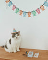 Kikkerland Kiko Cat Happy Birthday Kit