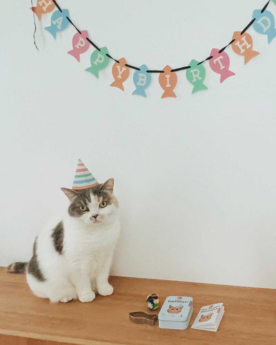 Kikkerland Kiko Cat Happy Birthday Kit