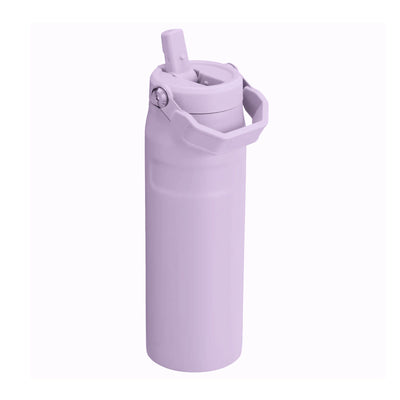 Stanley The IceFlow™ AeroLight flip straw lid bottle 24oz, grape