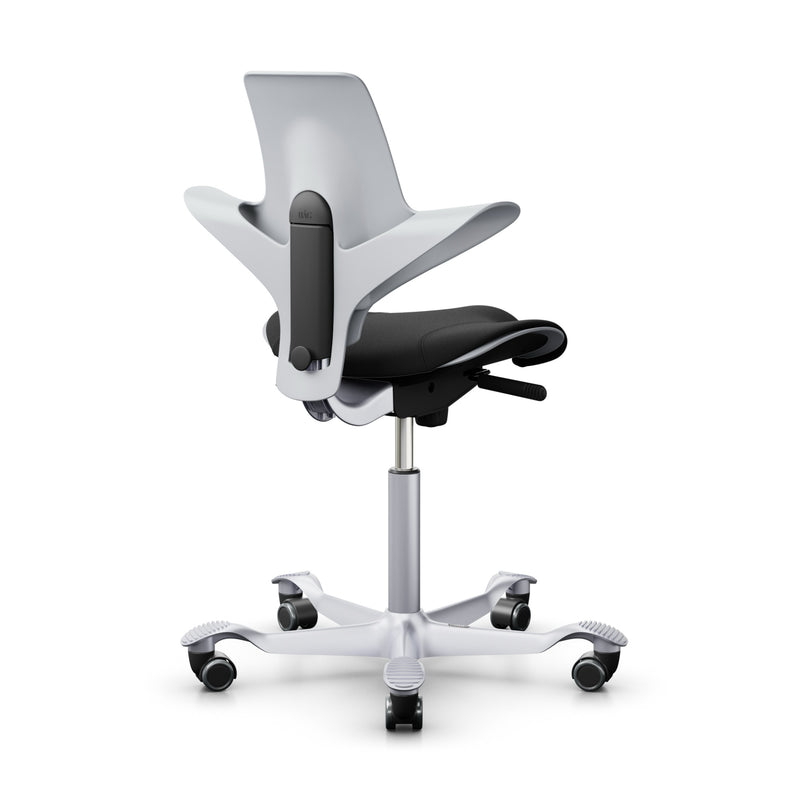 HAG Capisco Puls 8020 + FlexiSpot Liftek desk combo