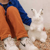 WWF Artic Hare plush