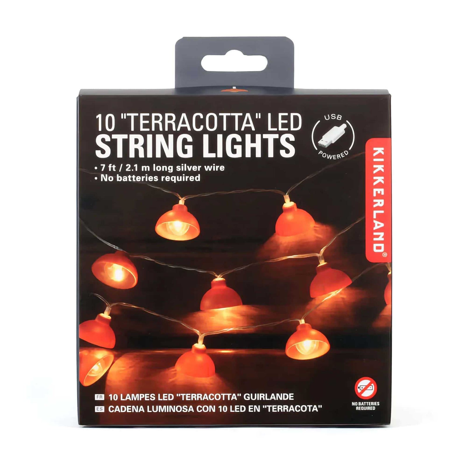 Kikkerland Terracotta 10 Feet LED Fairy String Lights