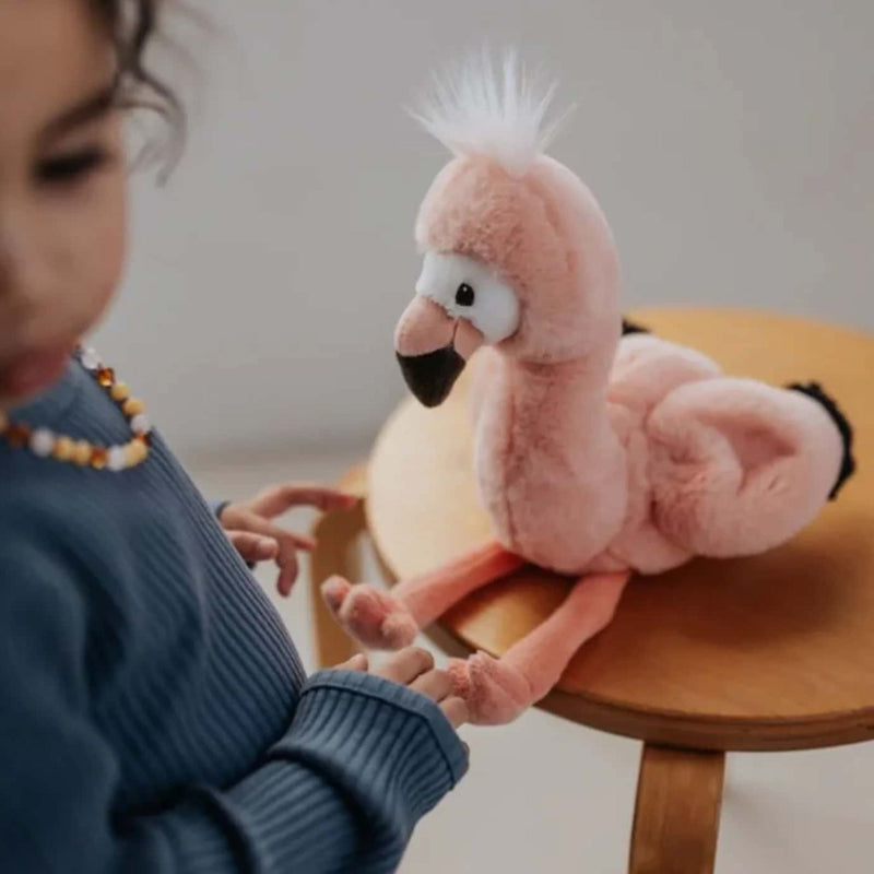 IBTT WWF Filipa Flamingo