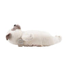 Liv Heart Car Seat Tissue Case, Pug