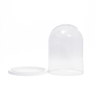 Dome display bell jar