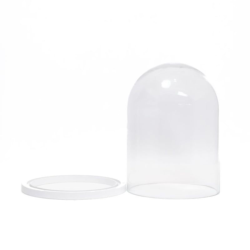 Dome display bell jar