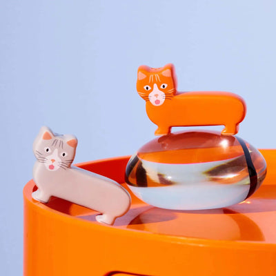 Fluid Market Cat salt & pepper