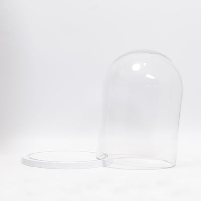refurbished | Dome display bell jar