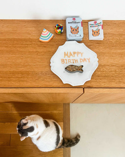 Kikkerland Kiko Cat Happy Birthday Kit