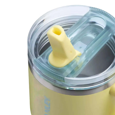 Stanley Quencher Protour flip straw lid tumbler 20oz, pomelo