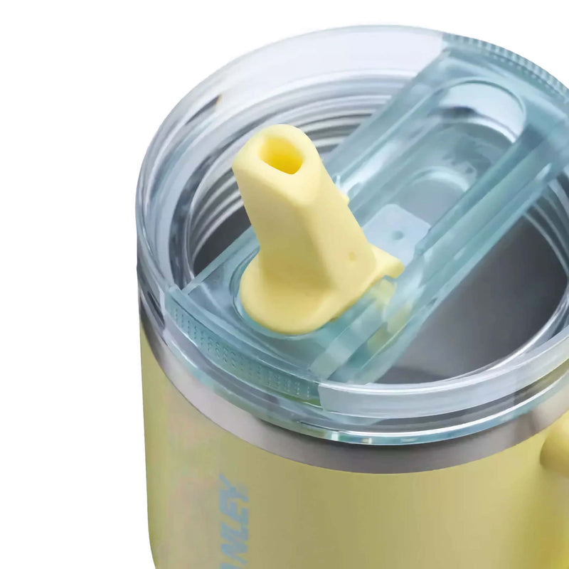 Stanley Quencher Protour flip straw lid tumbler 20oz, pomelo