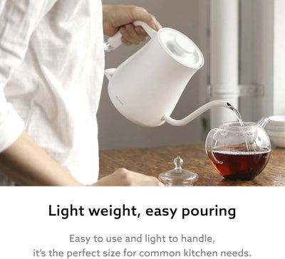 Balmuda The Kettle