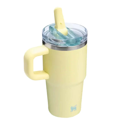 Stanley Quencher Protour flip straw lid tumbler 20oz, pomelo