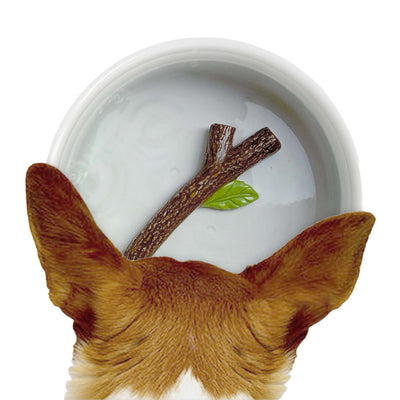 Suck Uk Fetch Stick dog bowl