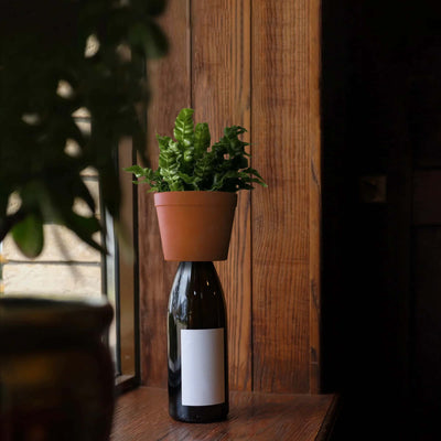 Kikkerland Bottle Planter