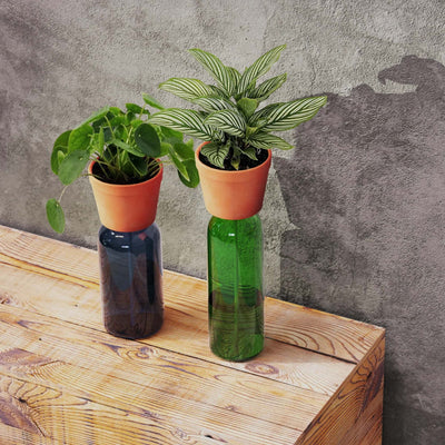 Kikkerland Bottle Planter
