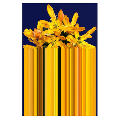 Qeeboo Glitch Rectangular Carpet by Richard Hutten