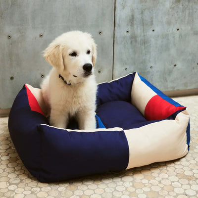 Hay Dogs dog bed medium, red/blue