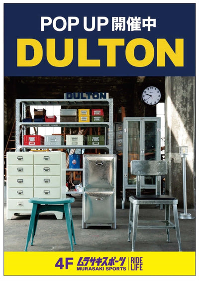 Dulton counter top show case, blue
