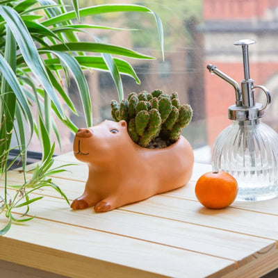 Kikkerland Cappy capybara planter, large