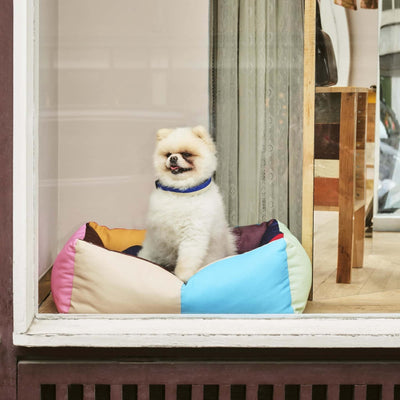 Hay Dogs Bed Small, multicolour
