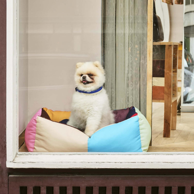 Hay Dogs Bed Small, multicolour