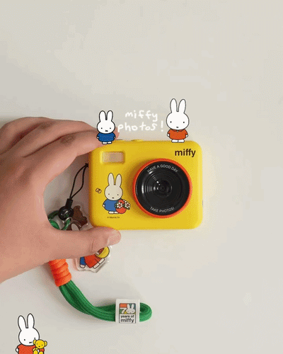 Miffy CCD Camera