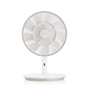 Balmuda GreenFan